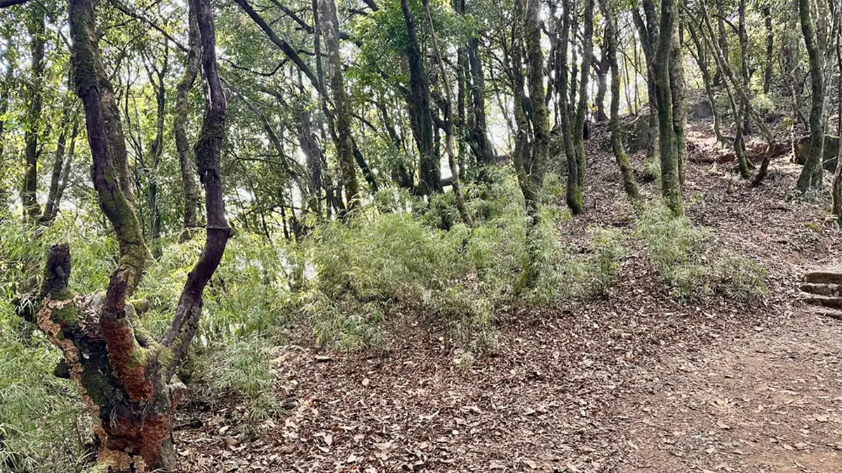 nagarjun hill forest in kathmandu nepal