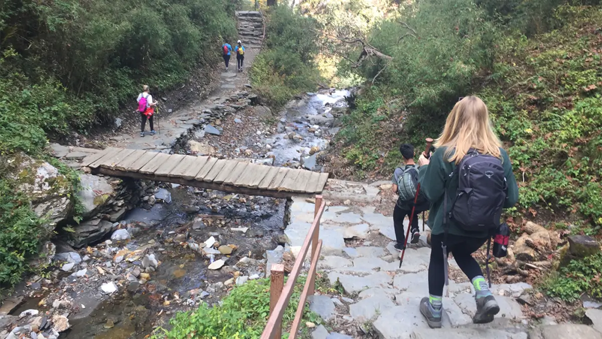 trekking trail from ghorepani to tadapani annapurnapoon hill trek