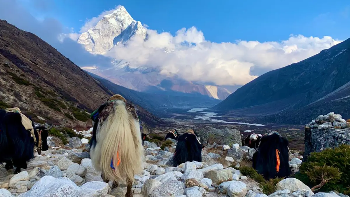 trekking route and trail path to the everest base camp in nepal