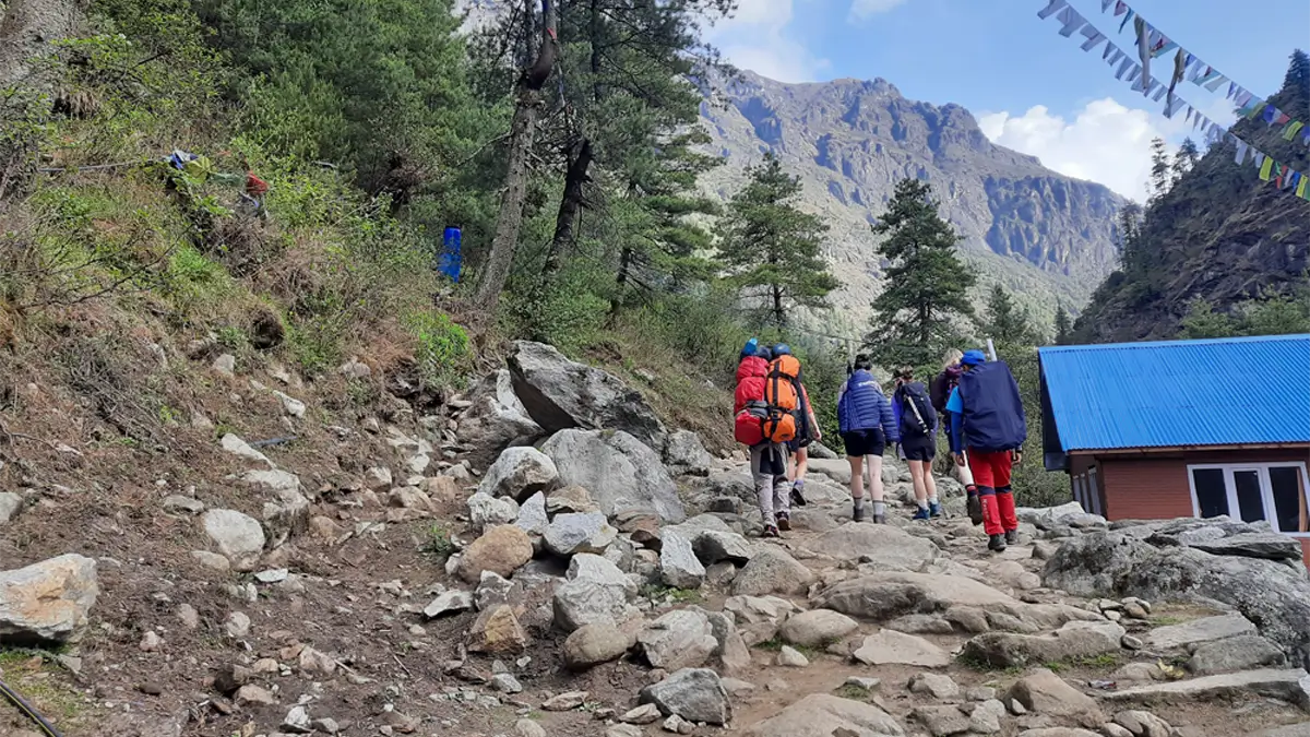 trekking trail to Everest view hotel, walking from phakding to Namche Bazaar